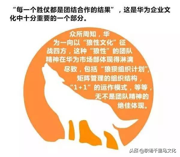 16张图看懂华为管理精华，含文化、培训、绩效、招聘等多个角度！