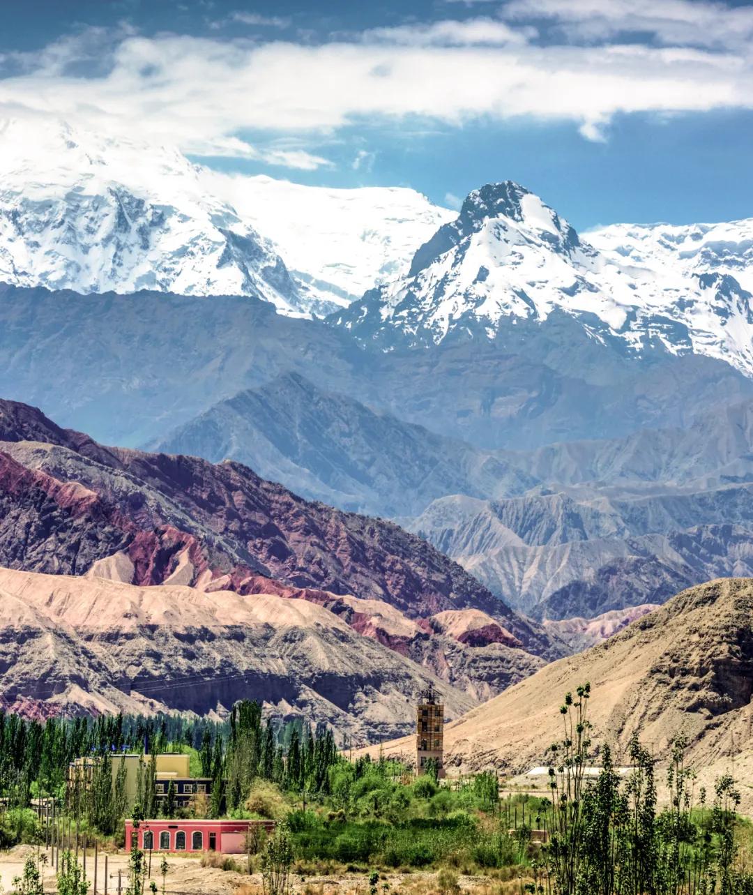 新疆塔里木大沙漠风景,除了沙漠树森林树还有什么
