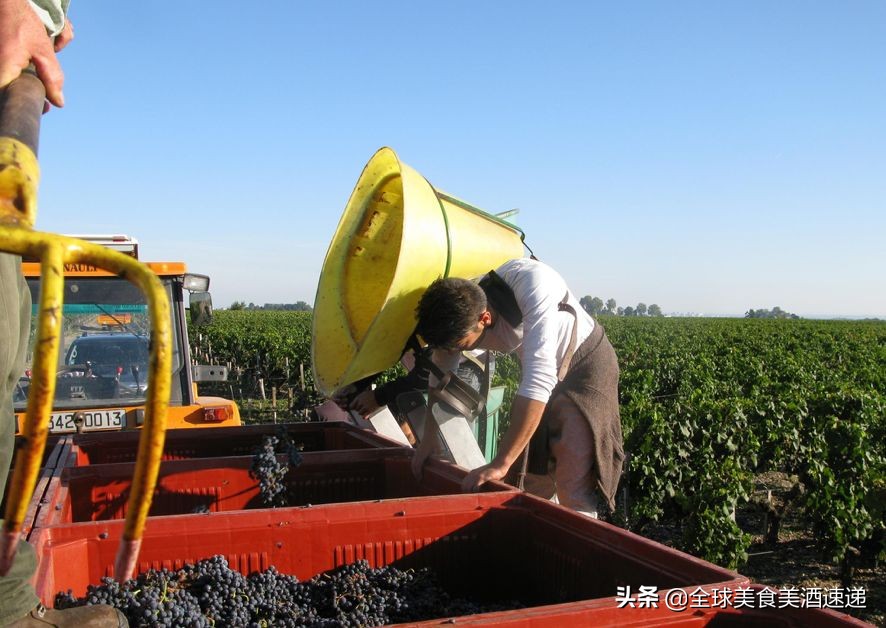 法国葡萄园工人收入,在法国葡萄酒厂打工赚钱吗