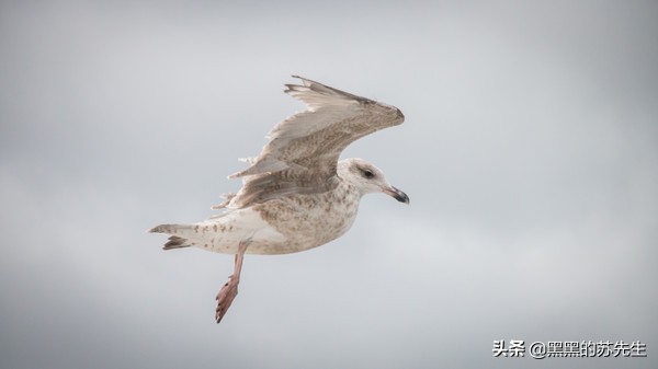 提倡绿色出行文明旅行,倡导绿色环保低碳出行的意义