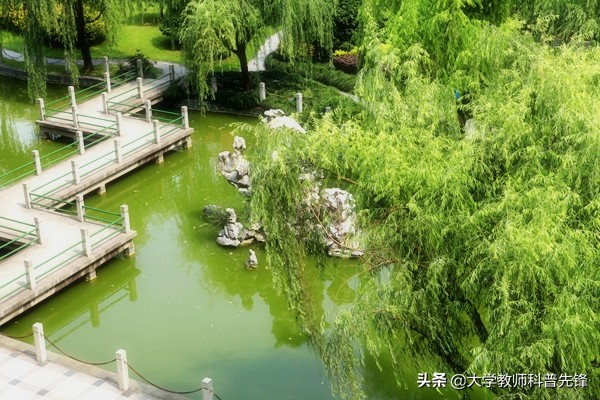 浙江双高大专学校及优势专业,浙江双高院校名单