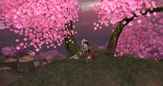 怎么知道剑网三在哪个区,剑网3玩家有多少