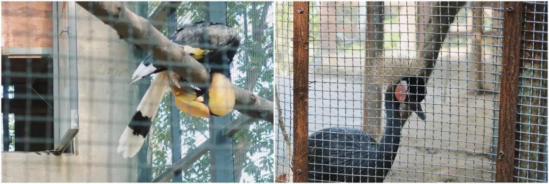 在动物园散步才是正经事|暴走福州