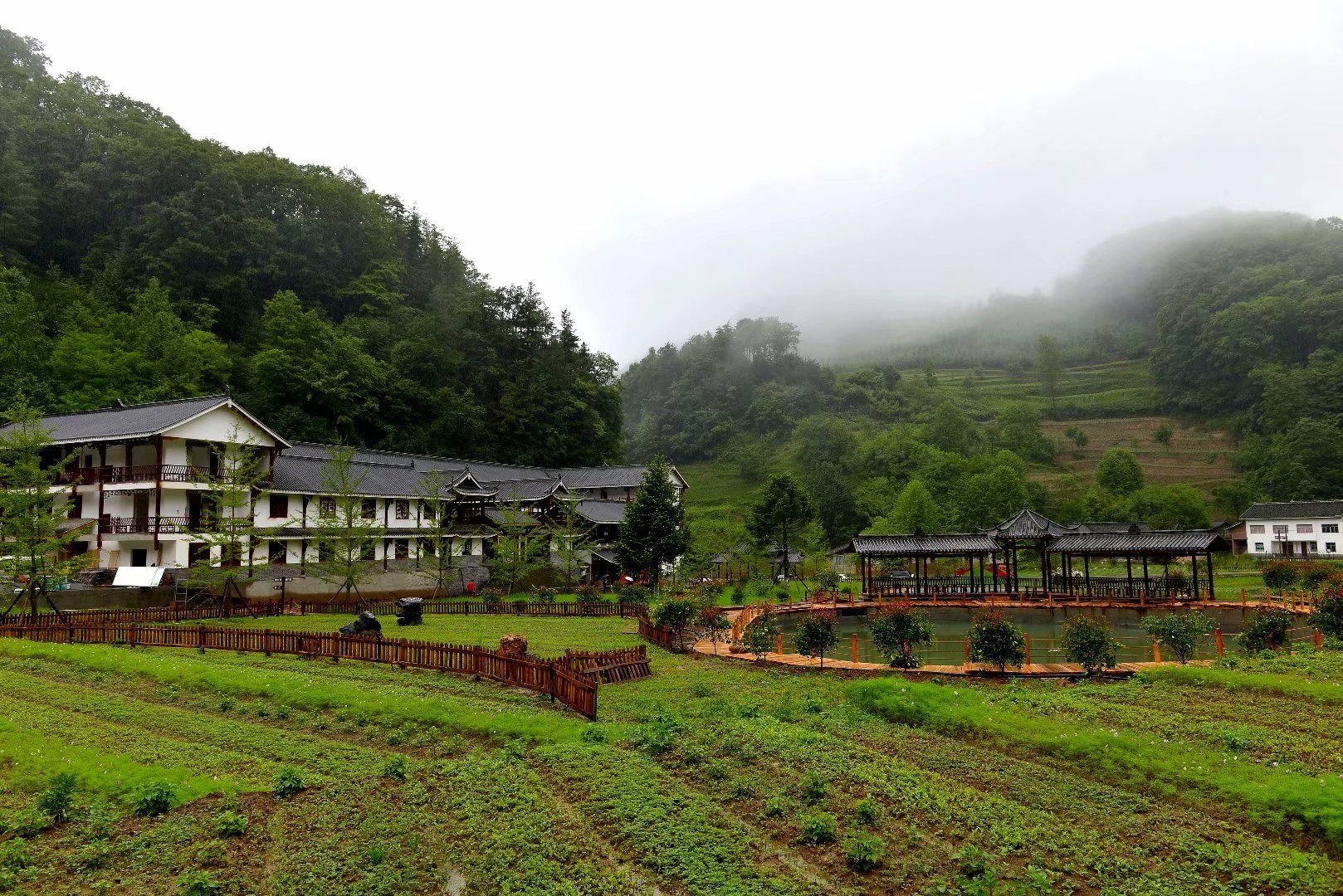 六月回忆儿时校园,六月回忆童年