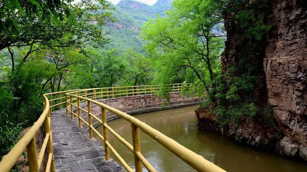 来迟了古诗词,来迟了原版