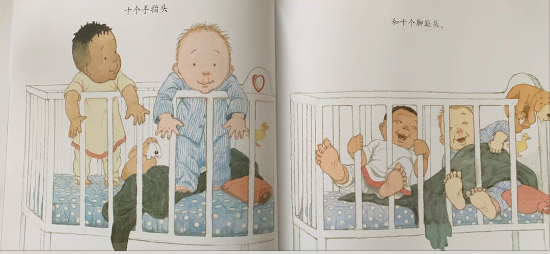 一本数学绘本,阅读关于数学绘本