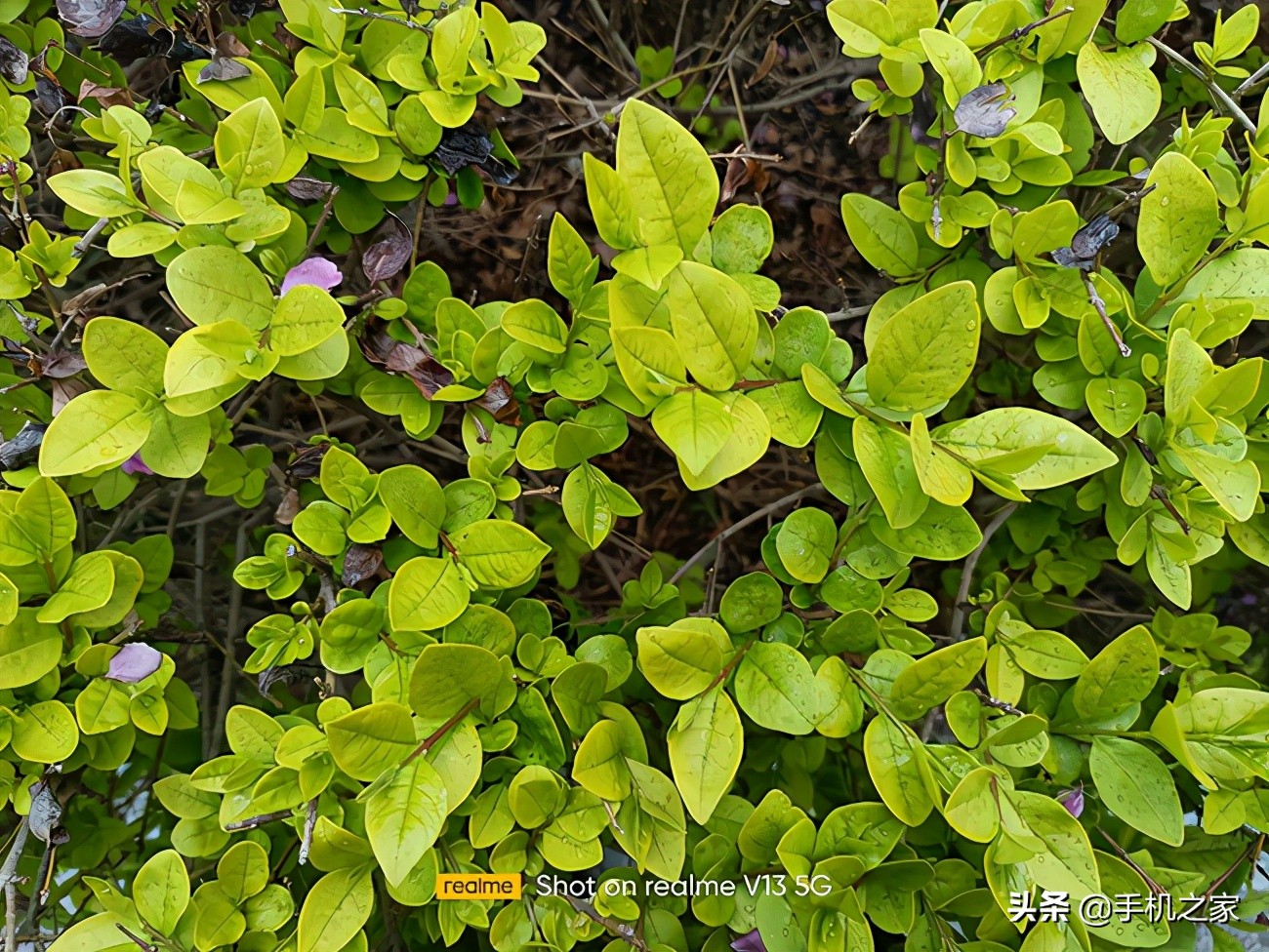 大电池大内存拍照好的5g手机,大电池拍照好旗舰手机