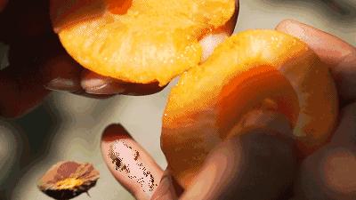 6月有钱没钱,这5颗水果都要买,饭前或饭后吃点,清爽美味营养多