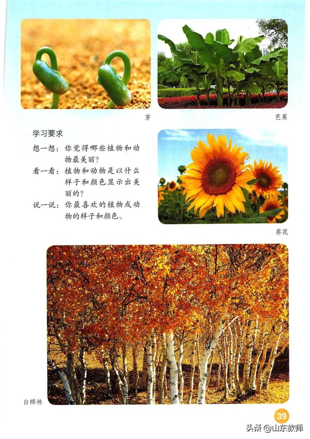 一年级上册美术第一课,人教版美术一年级上册电子课本