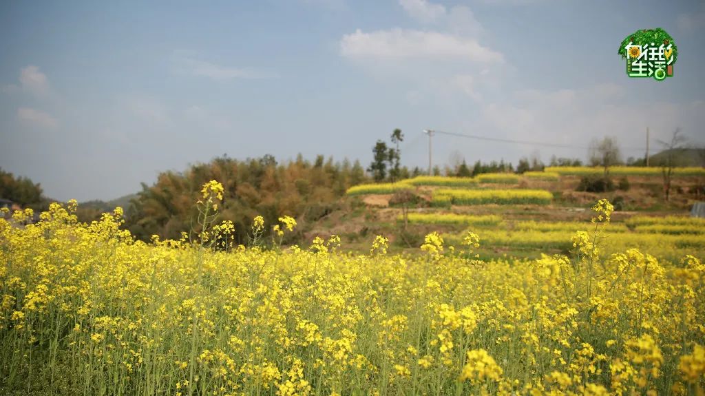 电视剧向往的生活在哪拍的取景地,电视剧向往的生活取景地