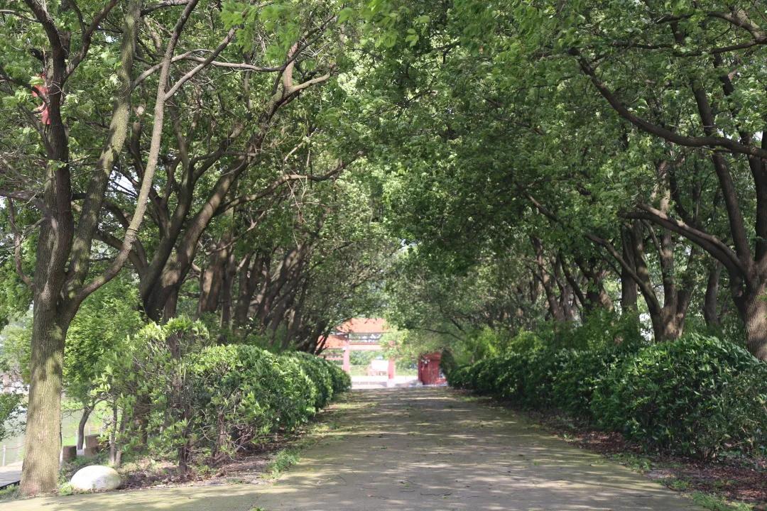 汉川5天周边游攻略,汉川徒步旅游攻略一日游