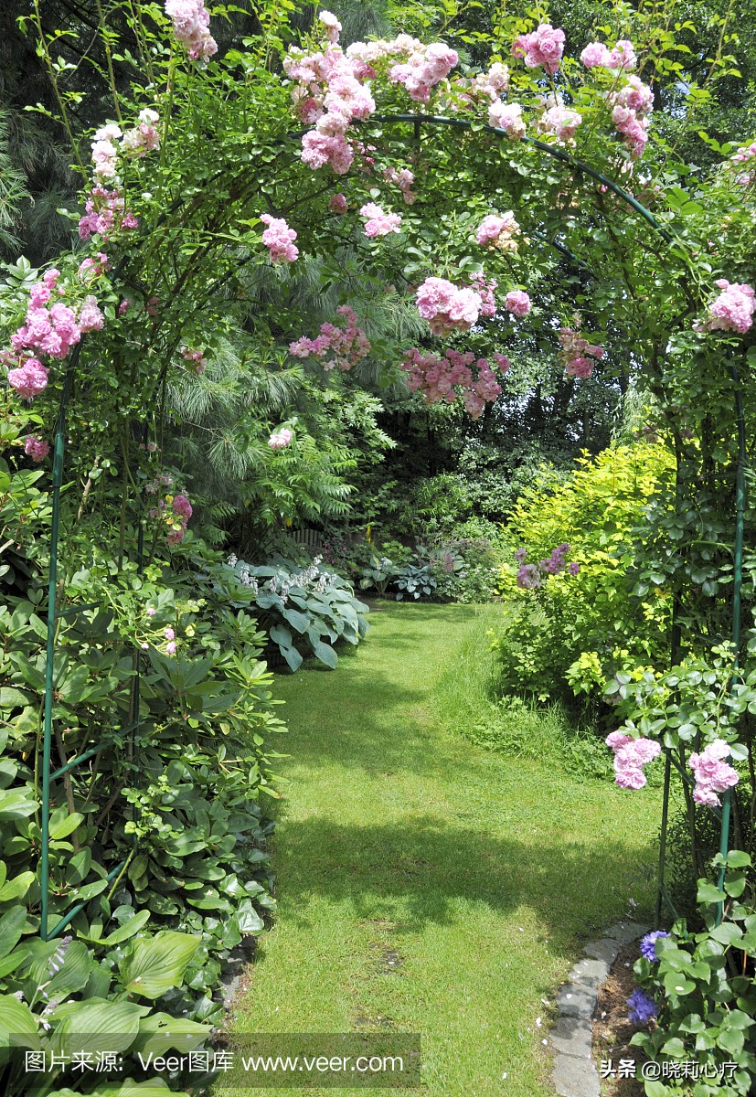 一场病让我倍感温暖,一场病带来的感悟