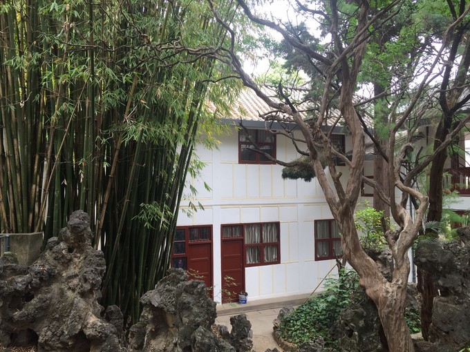 昆明轿子雪山自驾一日游攻略,昆明周边一日游自驾游路线推荐