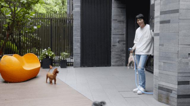 萧敬腾的单身豪宅曝光,萧敬腾8层豪宅曝光多少钱