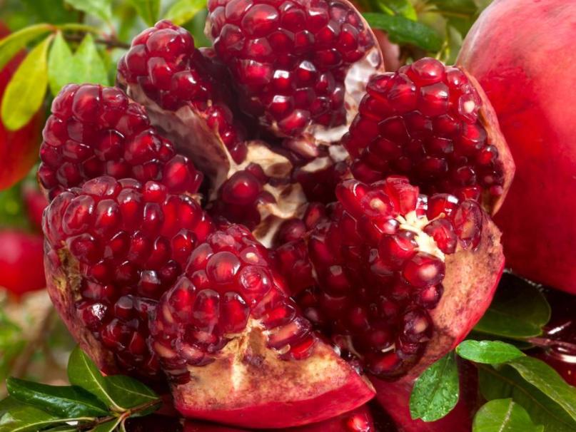 石榴干腐病防控措施,石榴叶枯病防治方法