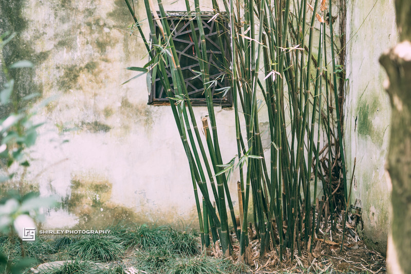 苏州旅游最不能错过的江南园林,留园拙政园是苏州著名的园林