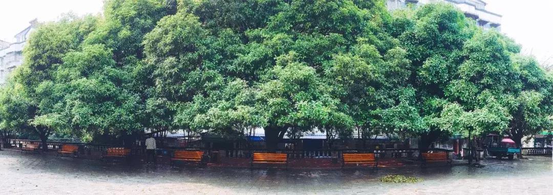 广西桂林藏在巷子里面的美食,桂林市藏在巷子里的美食