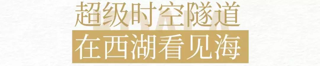 西湖网易考拉,杭州西湖网易考拉