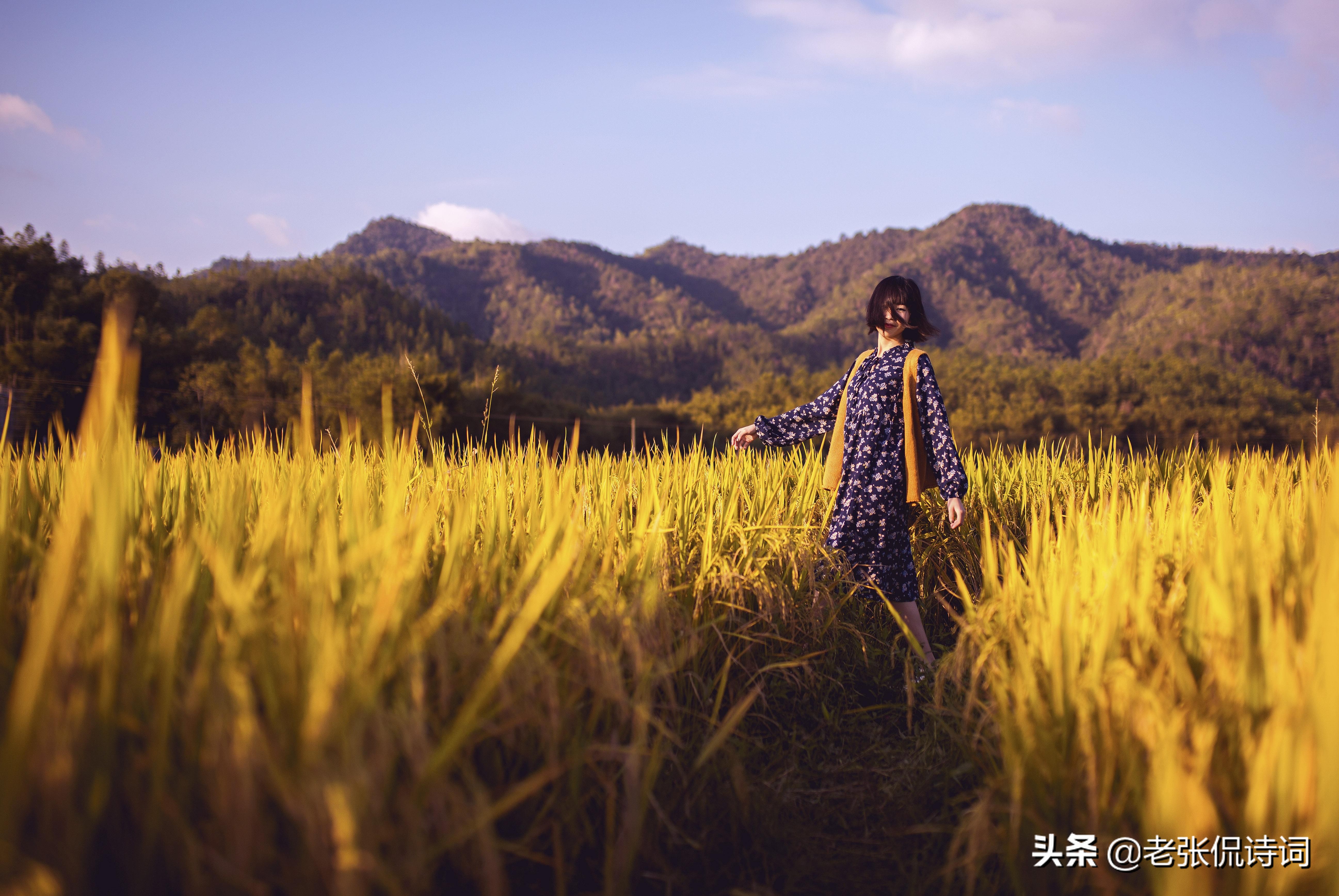 纳兰性德最出名十首诗词,纳兰性德诗词最全版解析