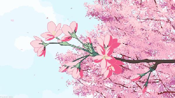 来自春天的赠礼,来自春日的礼物