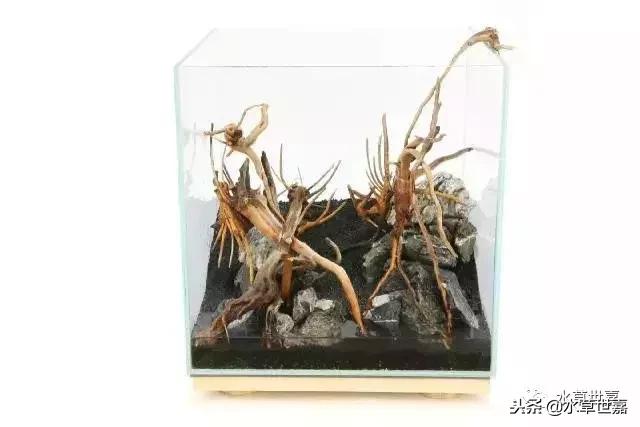 30cm小缸青龙石造景大全,30cm长缸原生溪流缸造景