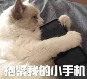 出台app收集用户信息新规,app非法收集用户信息