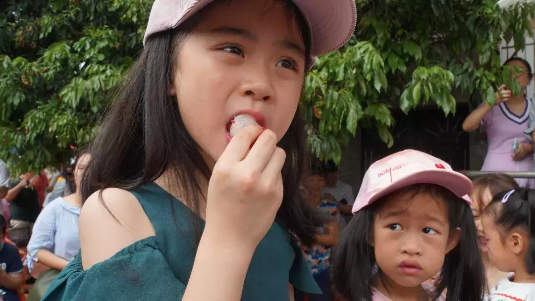 直击莆田荔枝采摘现场,莆田荔枝现摘