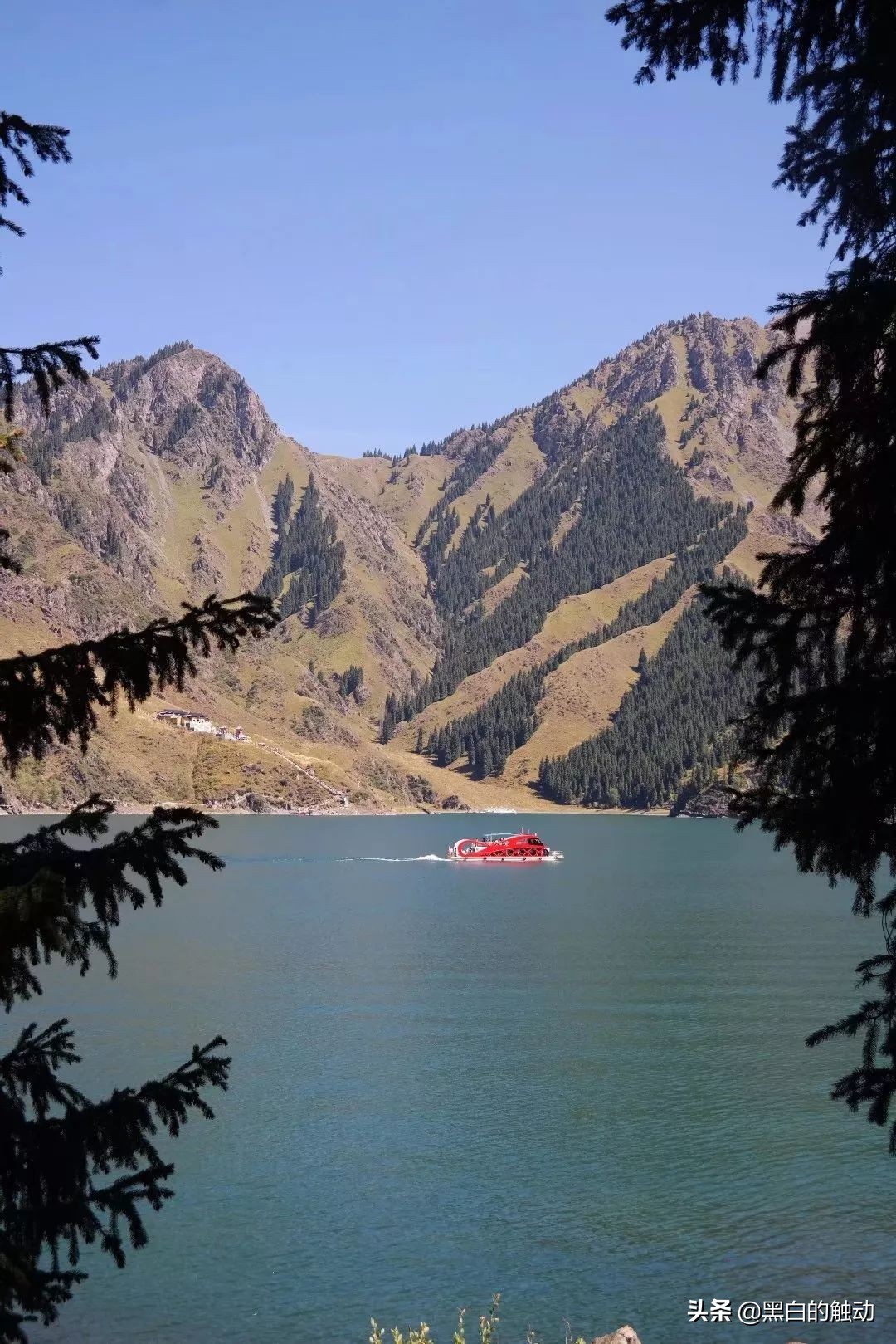 都说新疆好去新疆发展可靠么,都说新疆好地方