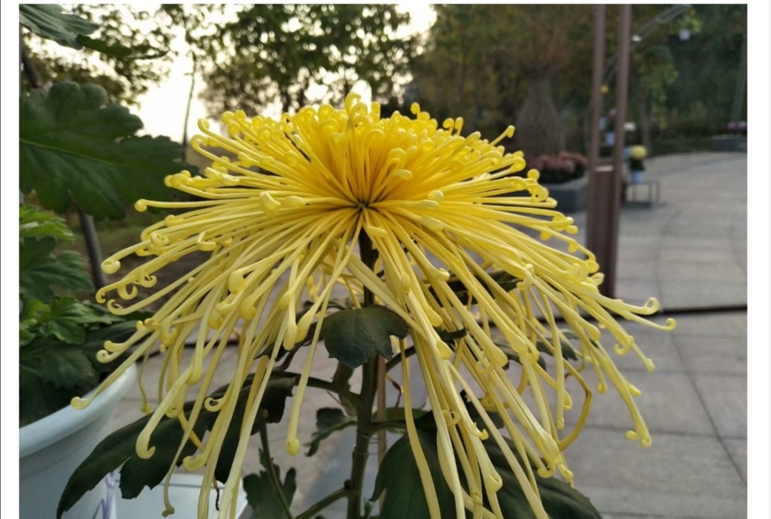 武汉汉南目前房价,武汉市汉南区的房子会涨价嘛