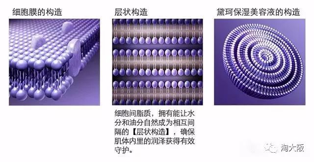 黛珂面膜排名怎么样,日本黛珂面膜好吗