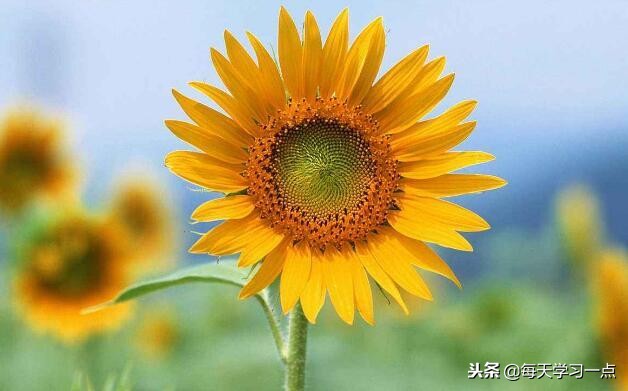 时时保有好运气,靠的是这1个秘密心法!