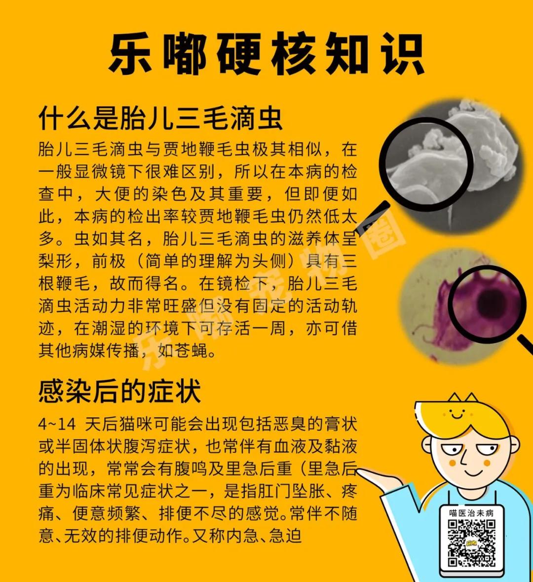 常规驱虫药都不能赶走哪些寄生虫,驱虫注意事项有哪些