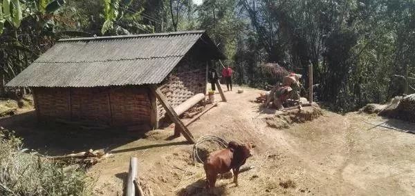 人民大会堂推销土豆,收1500个农民学生,10亿专利无偿送出,64岁的农民院士朱有勇火了!