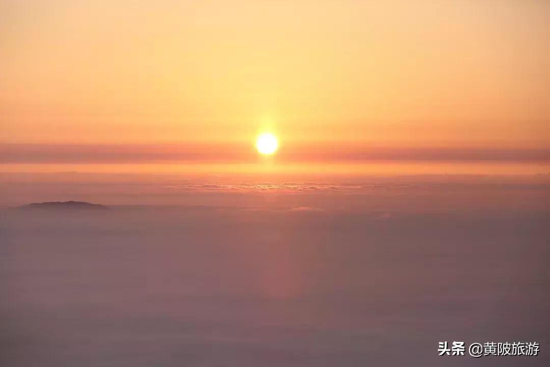 清凉寨樱花最佳赏花时间,清凉寨中华樱花