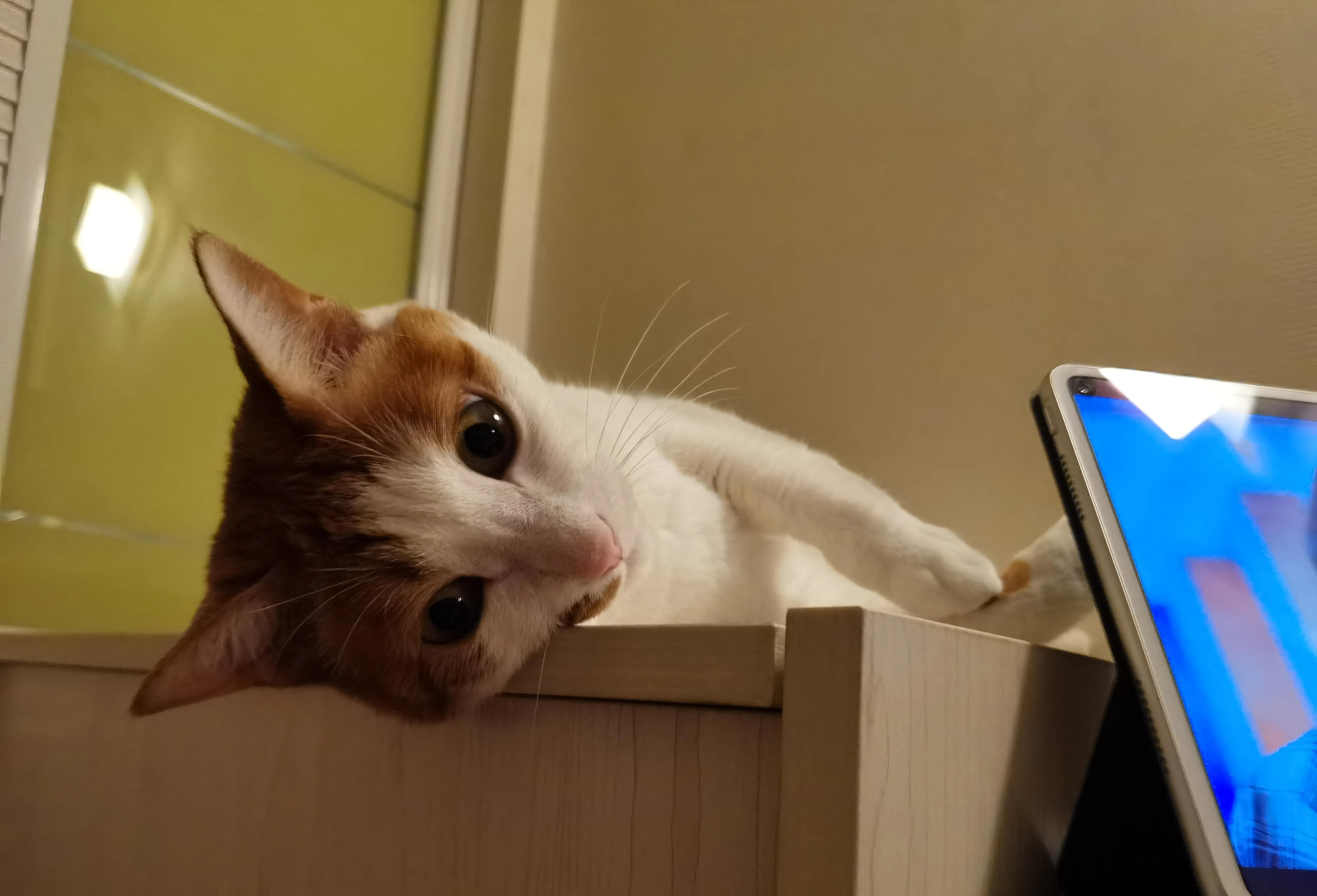 为什么一旦睡不着就很难入睡,一到深夜特别清醒睡不着怎么办