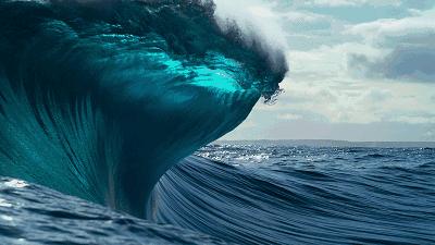 bbc纪录片揭露残忍人类对待动物,bbc动物纪录片造假事件