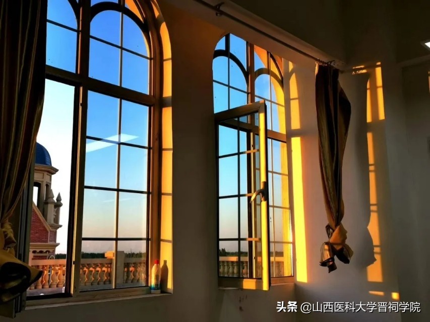 医学生土味情话攻略,医学生土味情话视频