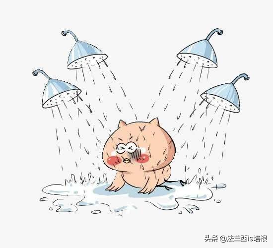 用白醋清洗花洒,用漂白水清洁厕所有没有毒