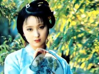 风中摇曳的秋色,是黛玉的“风露清愁”,是“年华都付与木芙蓉”