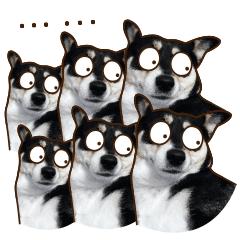 办公室美食照片素材,办公室里吃货视频