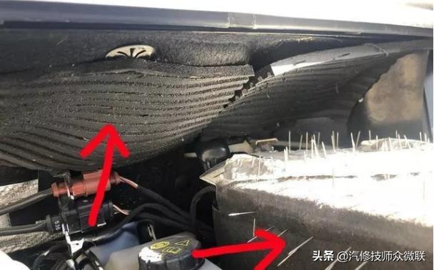 看这位车主是怎样防止猫鼠钻进发动机舱打窝的,这个方法值得推荐