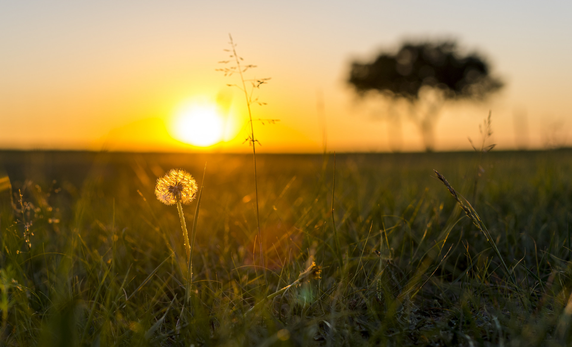 为什么有的女人越来越有女人味,为什么有的女人没女人味