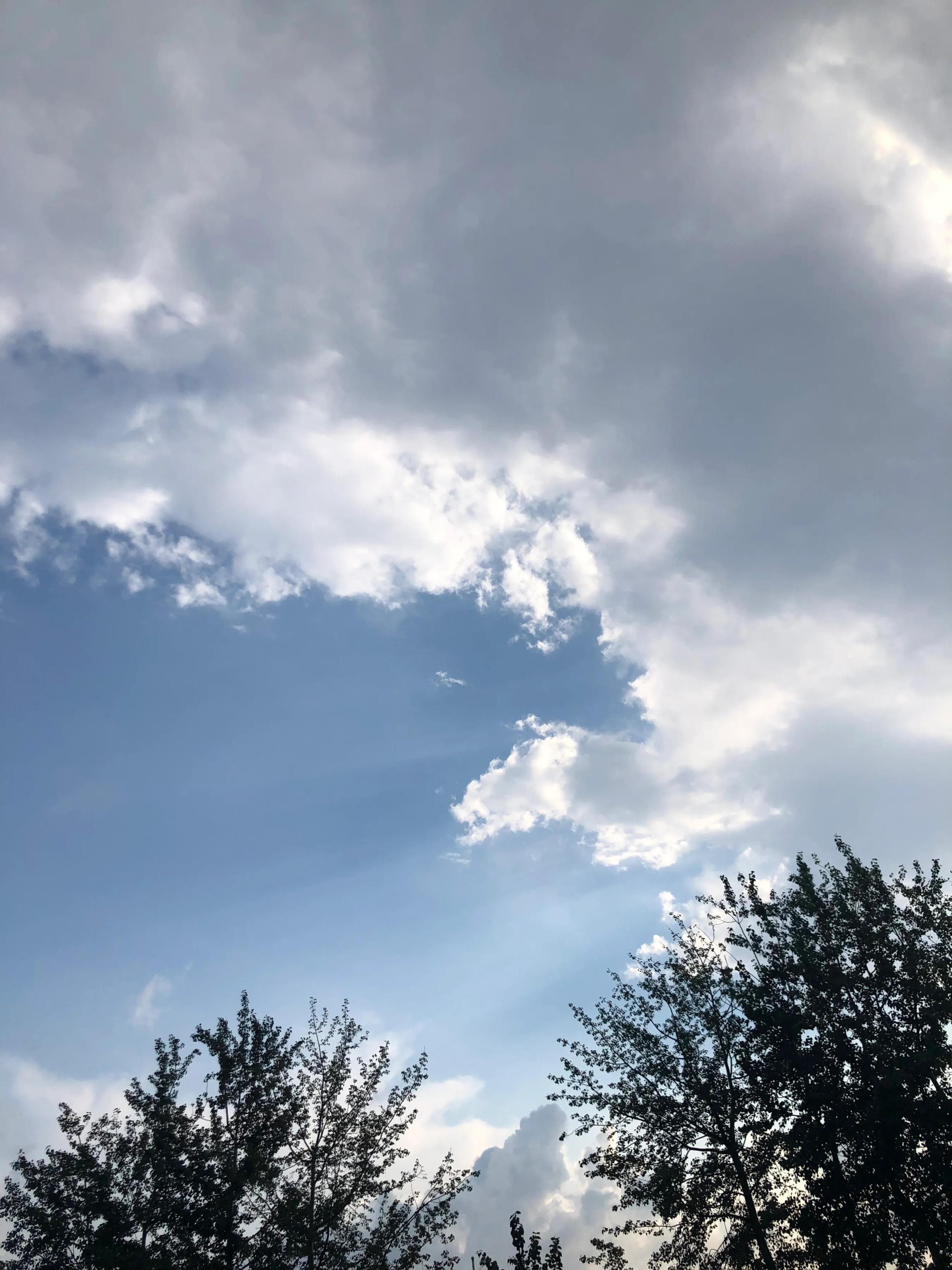 采蘑菇的小姑娘歌曲原唱,采蘑菇的小姑娘的歌词