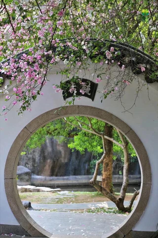 深圳花海公园推荐景点有哪些,深圳花海公园地址在哪里