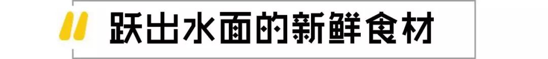 大宜兴没有好吃的鱼？这家独霸美食界的鱼无双！要不要挑战一下？
