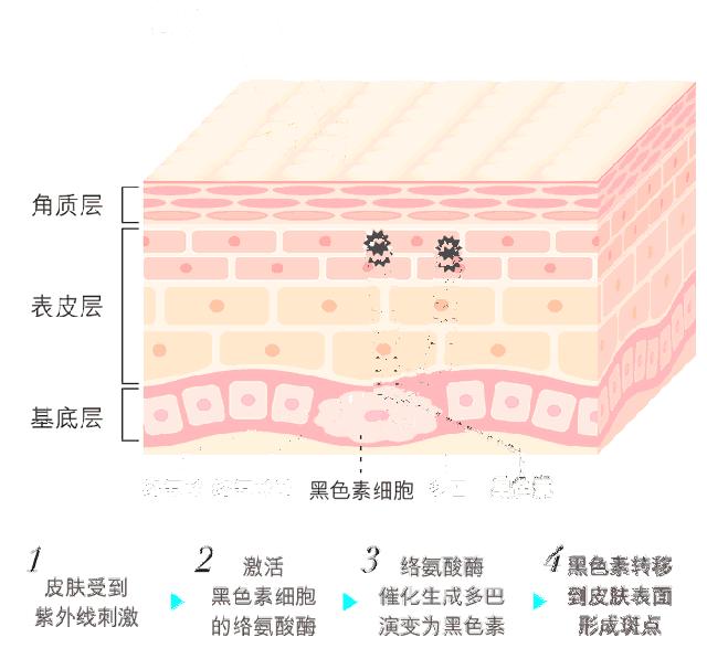 西班牙本土防晒霜,西班牙防汗防晒霜
