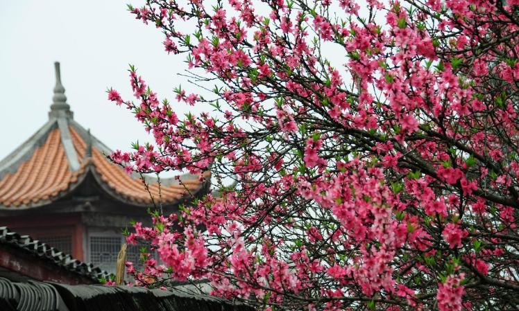 未来5年湖南哪个县要发展,湖南省沅陵县有何发展