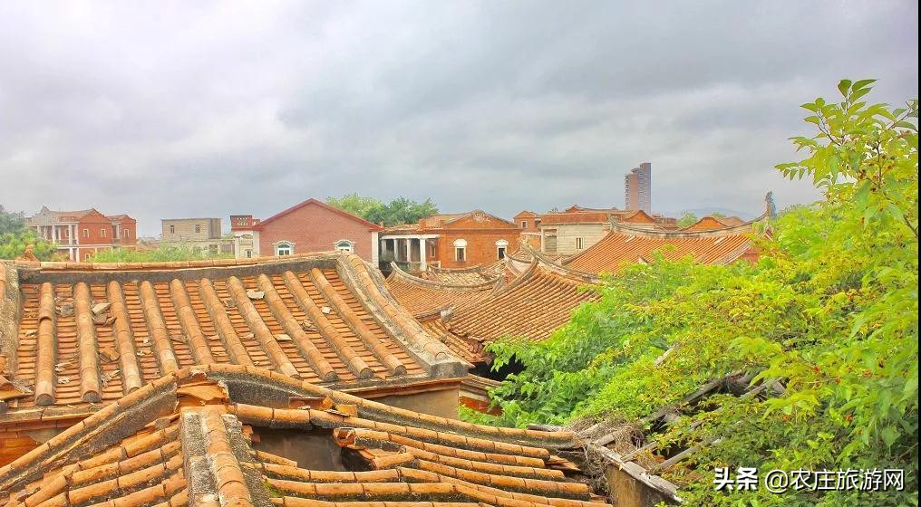 有历史文化气息的老院子,老院子美到骨子里