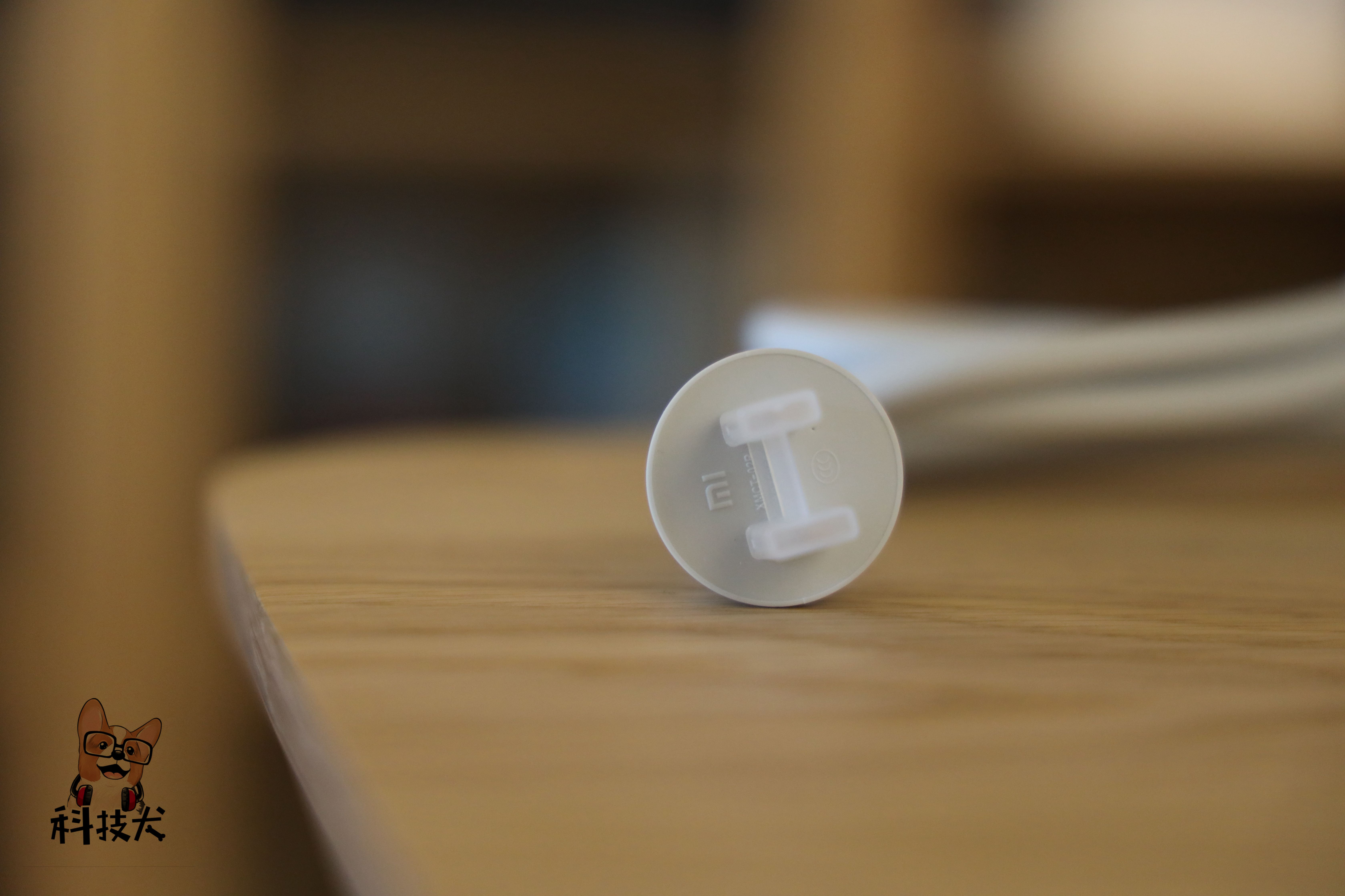 科技犬最好的品种,小米科技狗