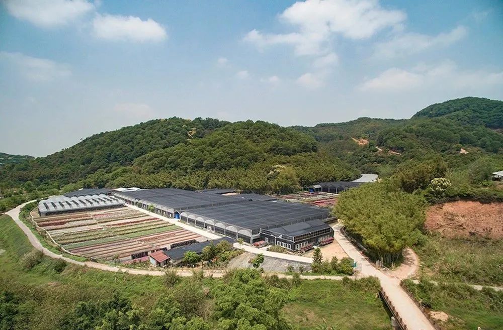 走，去太和！帽峰山下赏红叶、逛农庄、吃烧鸡、住民宿……